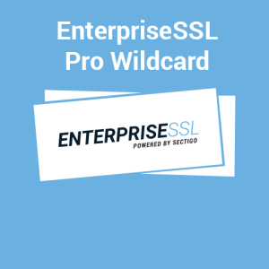 Enterprise SSL Pro Wildcard